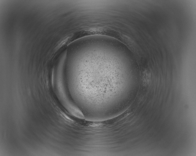 X0000052640428200507011351