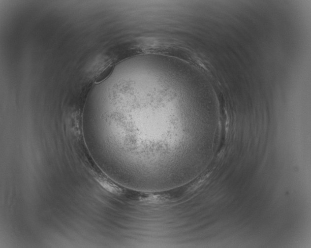 X0000052640430200507011351