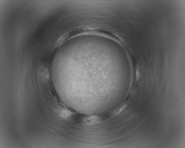 X0000052640431200507011351