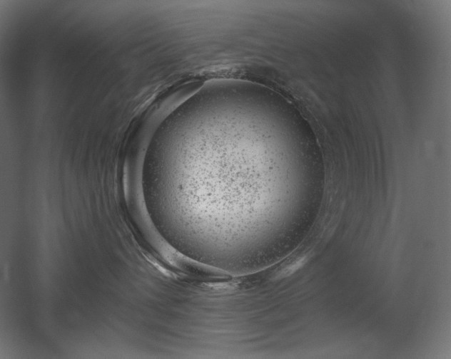 X0000052640432200507011351