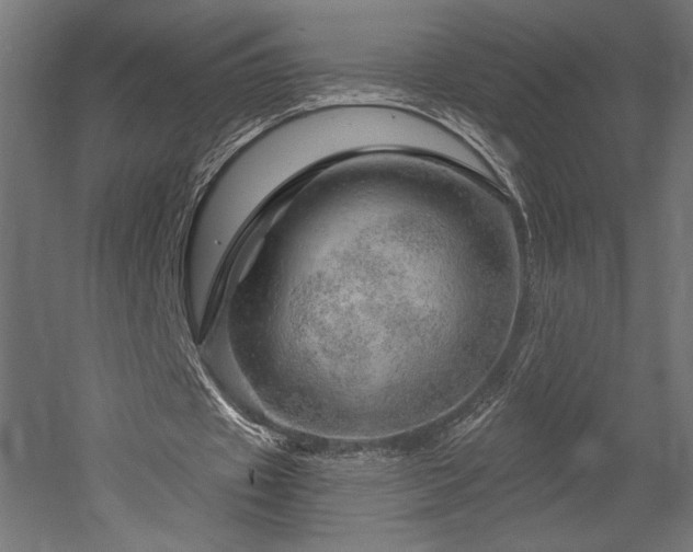 X0000052640433200507011350