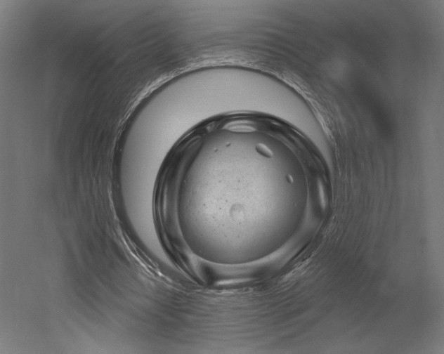 X0000052640434200507011350