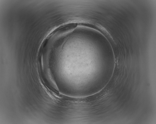 X0000052640436200507011350