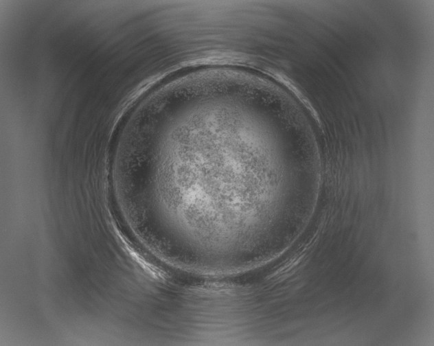 X0000052640437200507011350