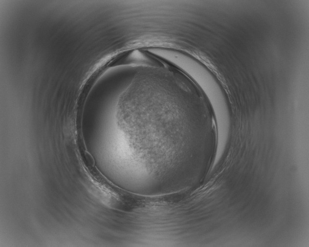 X0000052640438200507011350