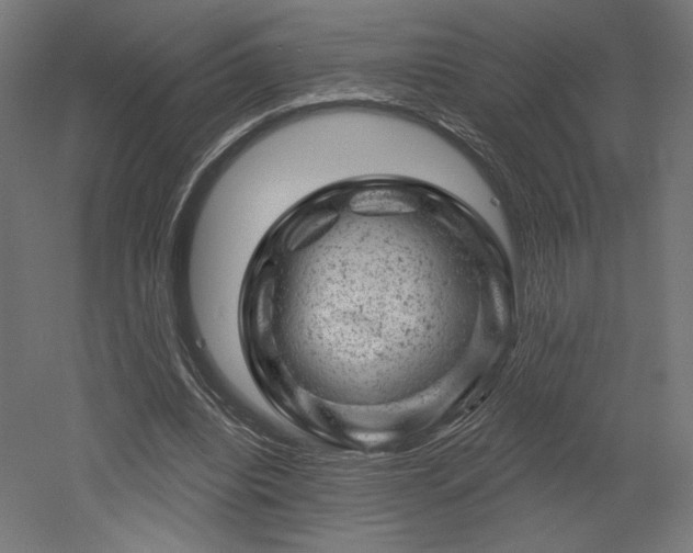 X0000052640440200507011350