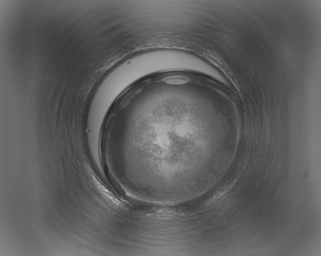 X0000052640441200507011350