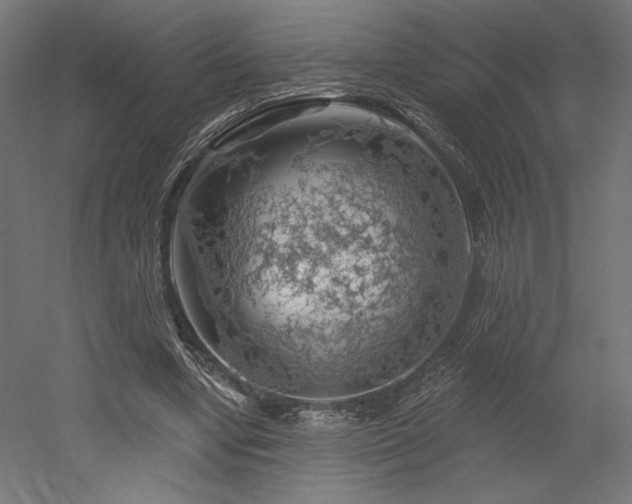 X0000052640442200507011350