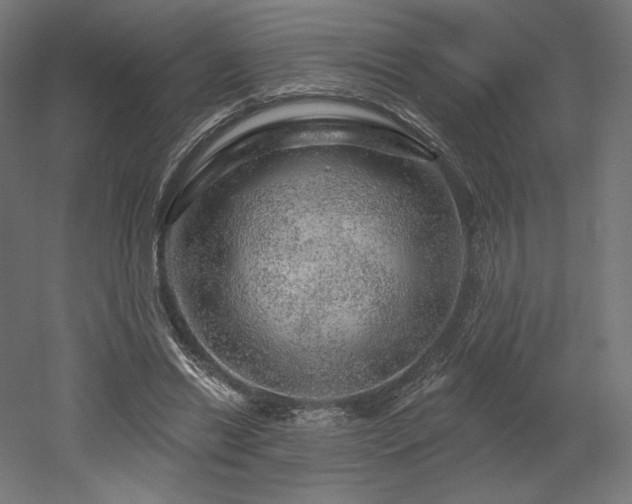 X0000052640446200507011350