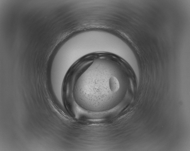 X0000052640447200507011350