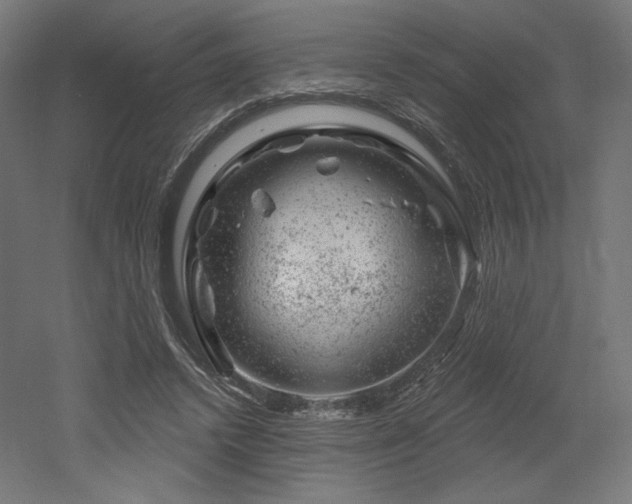 X0000052640448200507011350