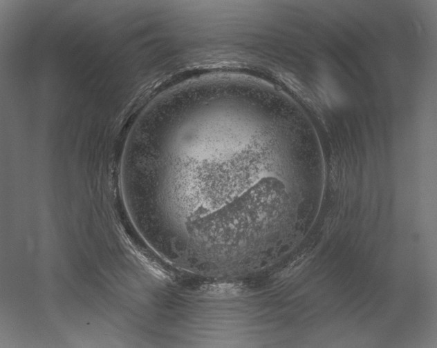 X0000052640449200507011350