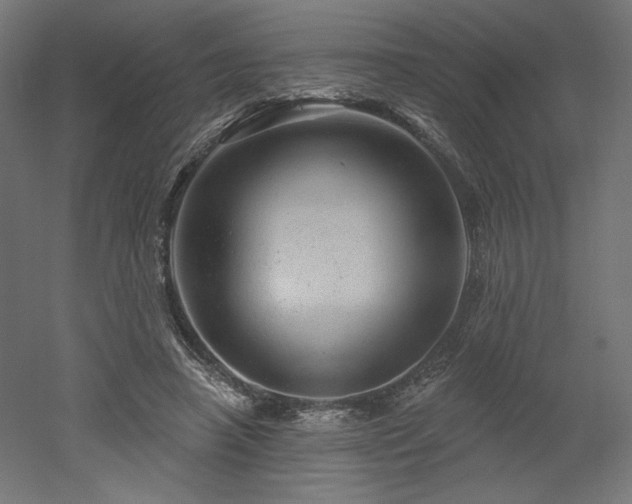 X0000052640450200507011350