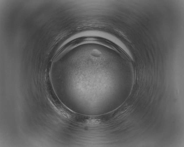 X0000052640451200507011350