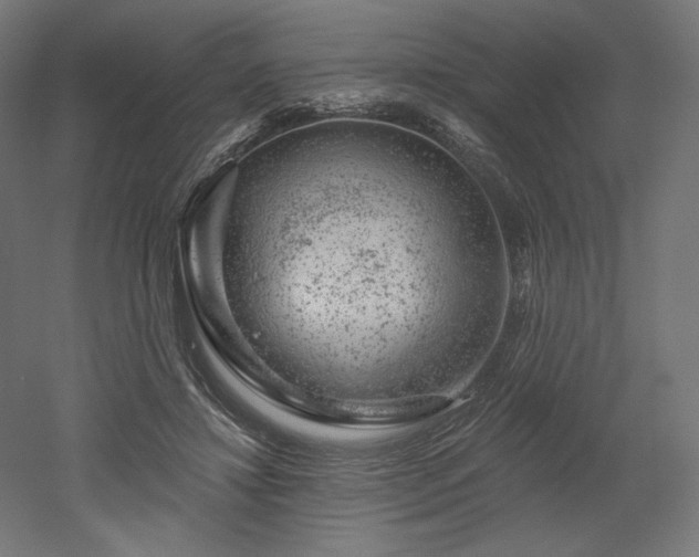 X0000052640452200507011350