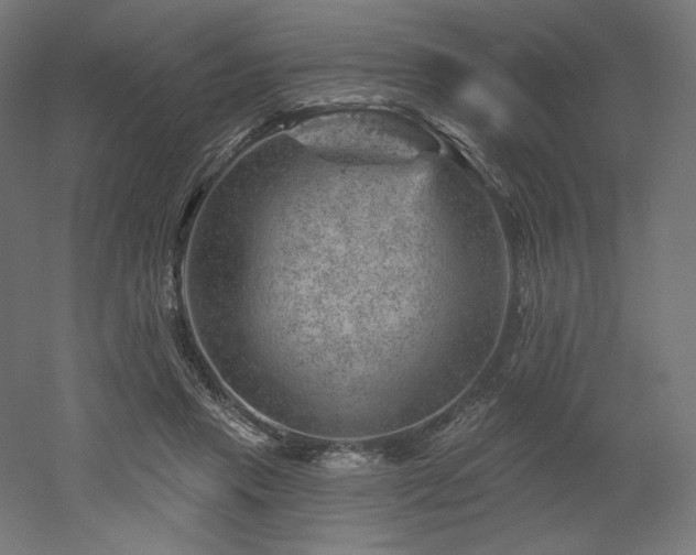 X0000052640453200507011350