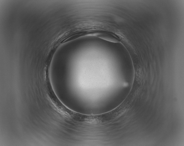 X0000052640454200507011350