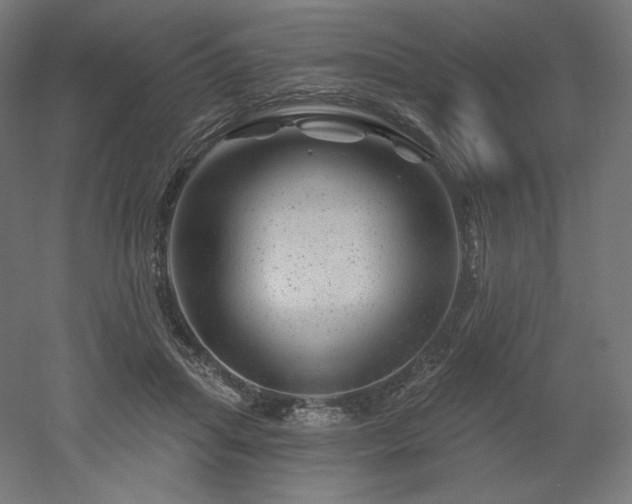 X0000052640455200507011351