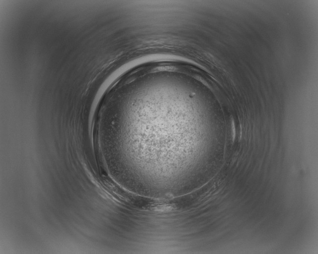 X0000052640456200507011351