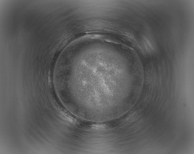 X0000052640457200507011351