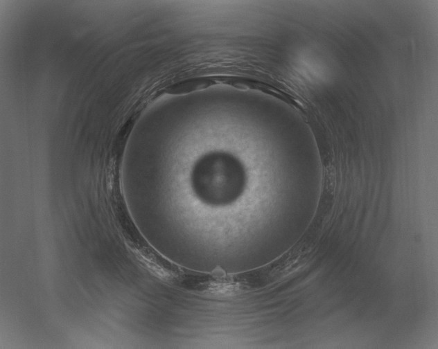 X0000052640458200507011351