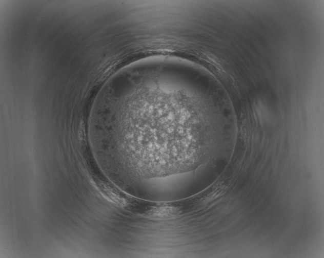 X0000052640459200507011351