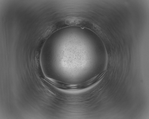 X0000052640460200507011351