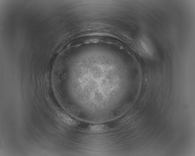 X0000052640461200507011351