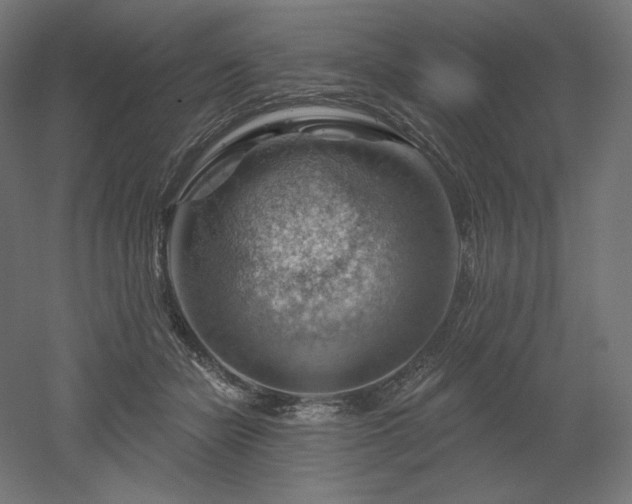 X0000052640462200507011351