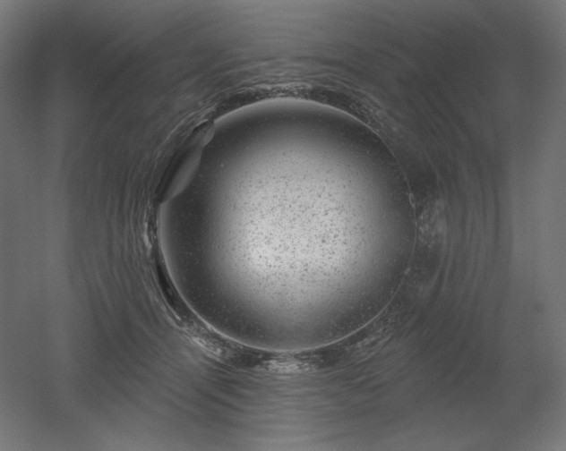 X0000052640464200507011351