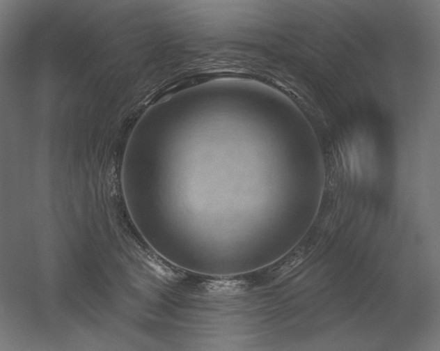 X0000052640465200507011351