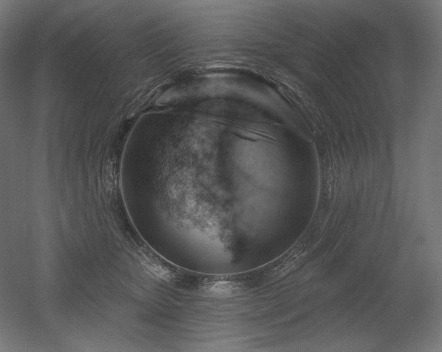 X0000052640467200507011351