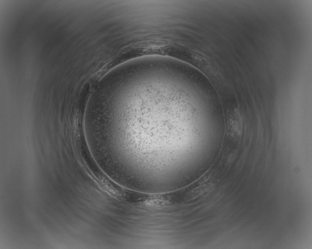 X0000052640468200507011351