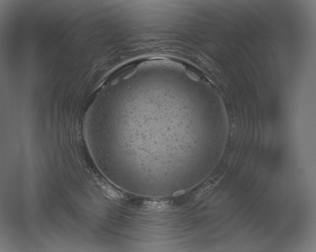 X0000052640469200507011351