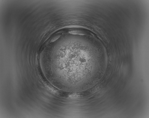 X0000052640470200507011351