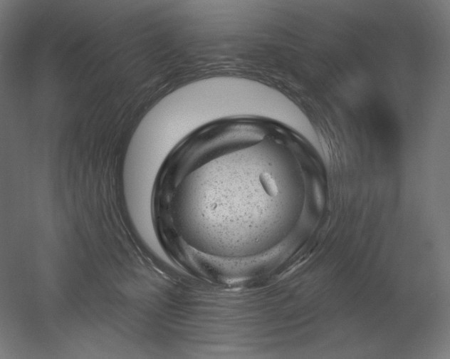 X0000052640471200507011351