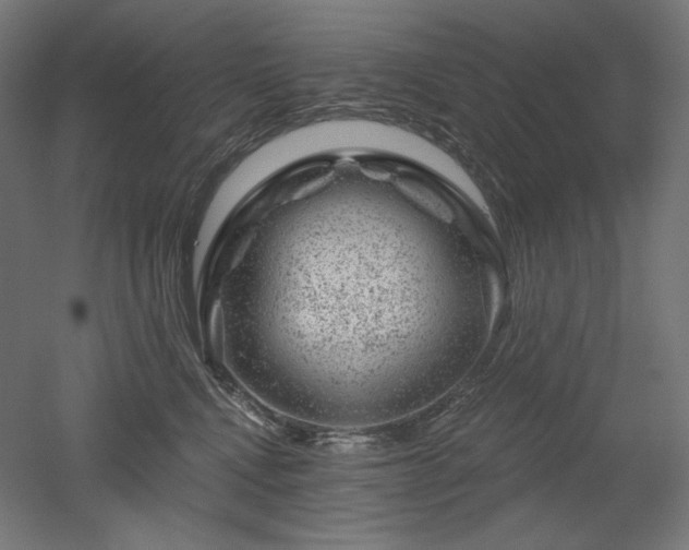 X0000052640472200507011351