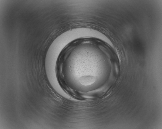 X0000052640473200507011351