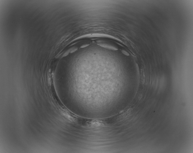 X0000052640475200507011351