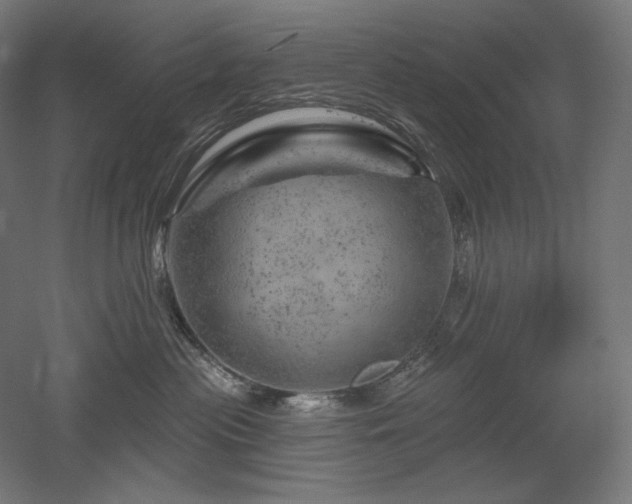 X0000052640477200507011351