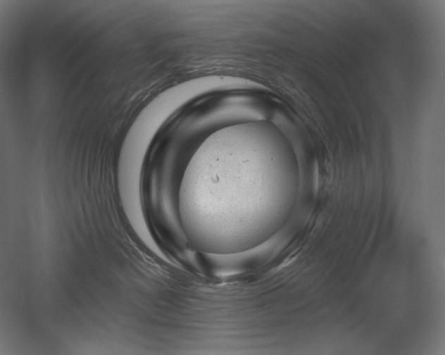 X0000052640478200507011351