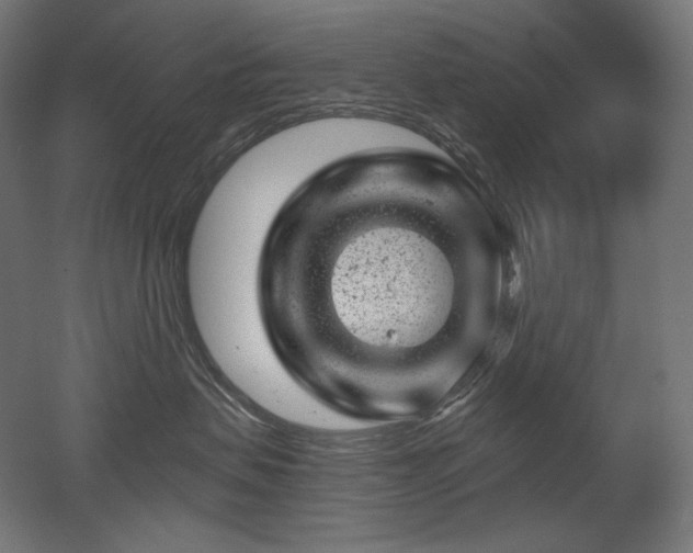 X0000052640479200507011351