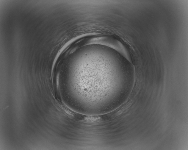 X0000052640480200507011351