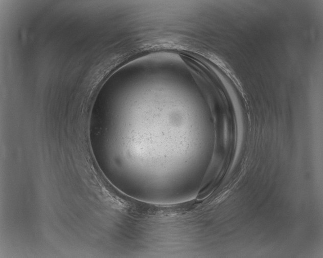 X0000052640481200507011350