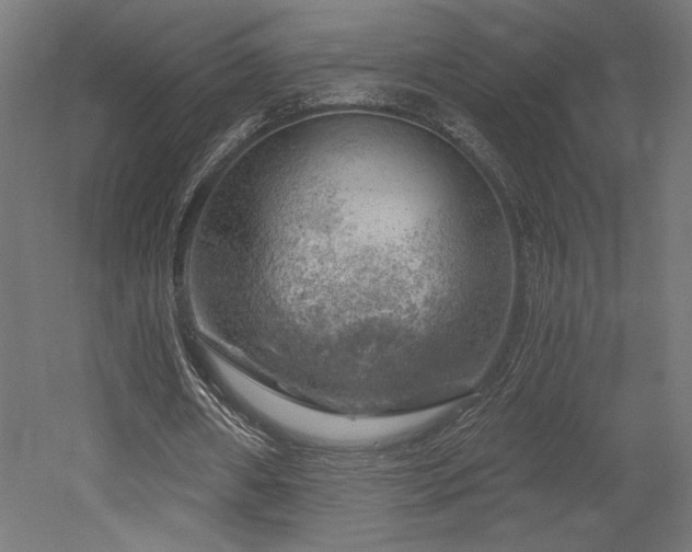 X0000052640482200507011350