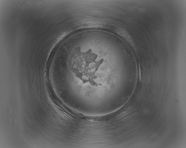 X0000052640483200507011350