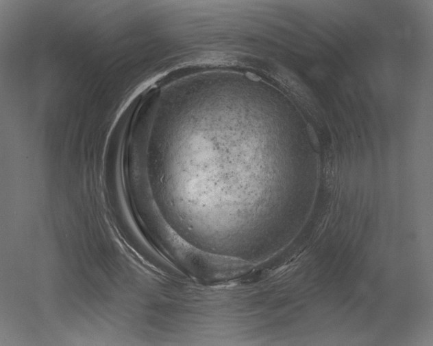 X0000052640484200507011350