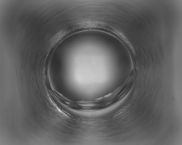 X0000052640485200507011350