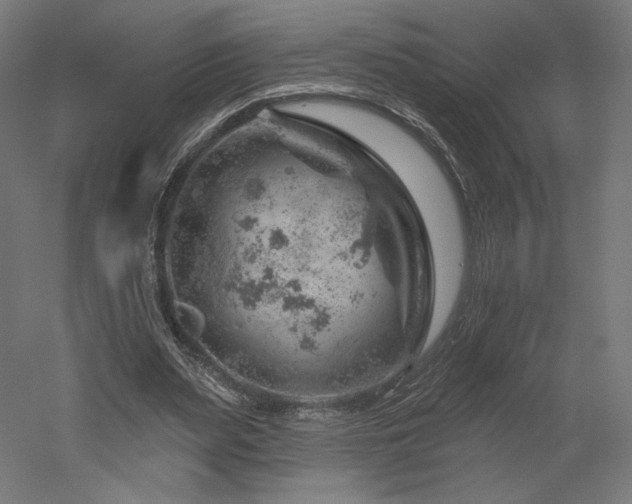 X0000052640487200507011350