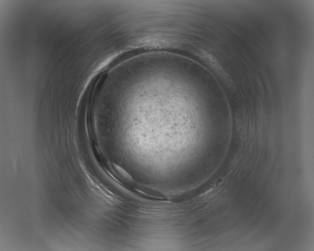 X0000052640488200507011350